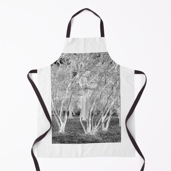 Item preview, White Trees designed and sold by dps7777.