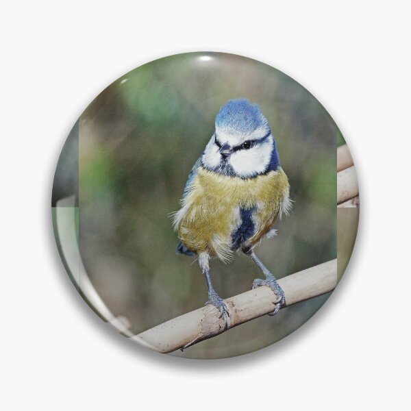 Item preview, r1234 / New 2021 Finish: "Blue Tit" 05 (c) (h) Olavia-Olao / Okaio Créations designed and sold by o.okaïo.