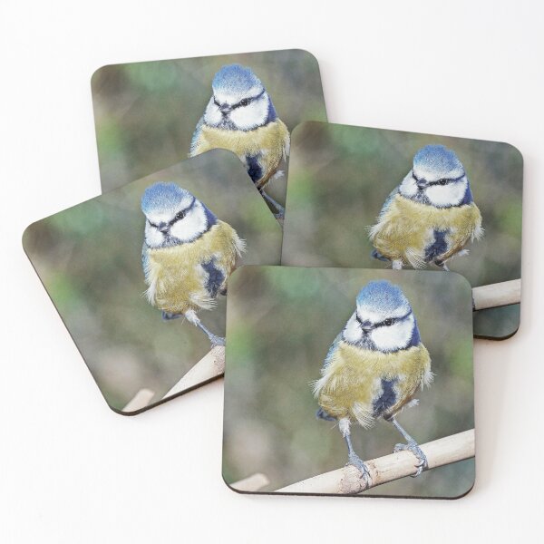 Item preview, r1234 / New 2021 Finish: "Blue Tit" 05 (c) (h) Olavia-Olao / Okaio Créations designed and sold by o.okaïo.