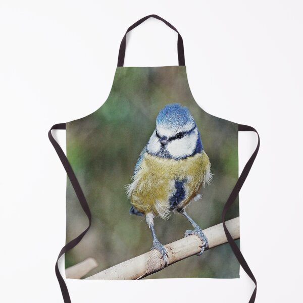 Item preview, r1234 / New 2021 Finish: "Blue Tit" 05 (c) (h) Olavia-Olao / Okaio Créations designed and sold by o.okaïo.