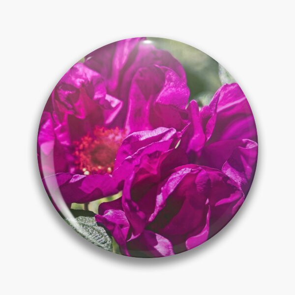 Item preview, Roses In Pink designed and sold by Thymely.