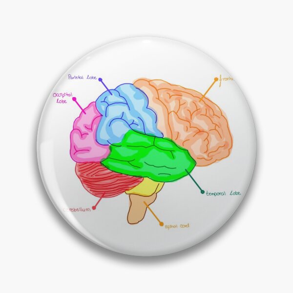 Item preview, cute watercolor brain diagram (white) designed and sold by Gosia1016.
