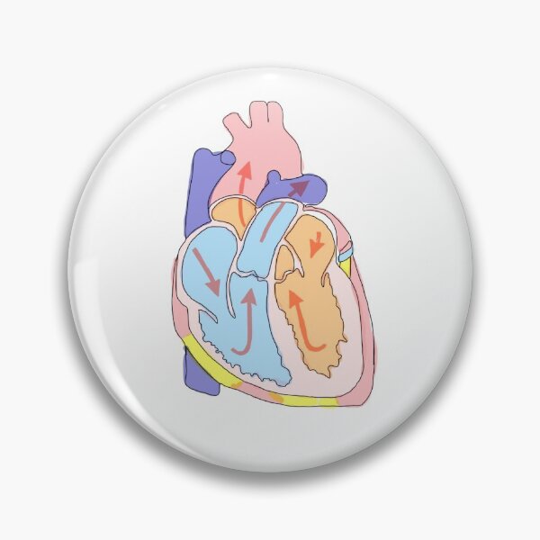 Item preview, cute watercolor heart anatomy diagram designed and sold by Gosia1016.