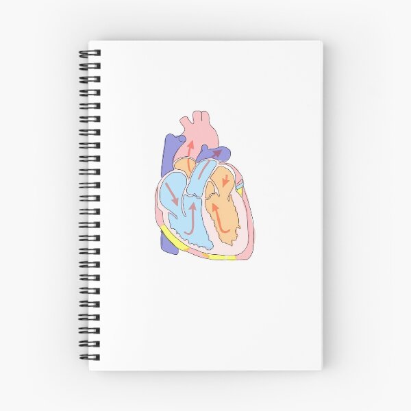 Item preview, cute watercolor heart anatomy diagram designed and sold by Gosia1016.