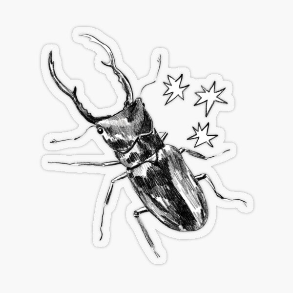 Shiny Stag Beetle Transparent Sticker