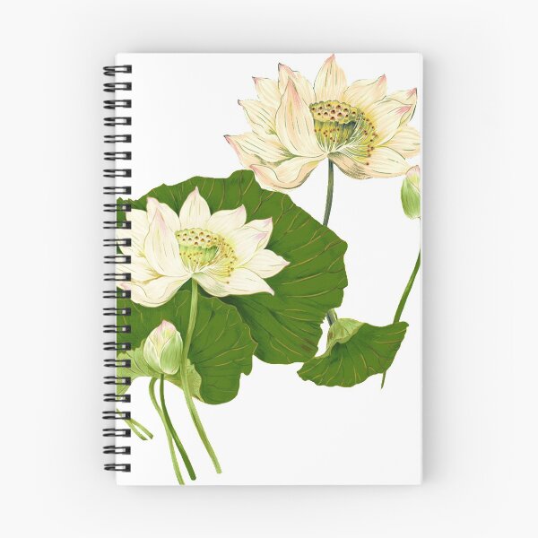 Item preview, Lotus designed and sold by 361office.
