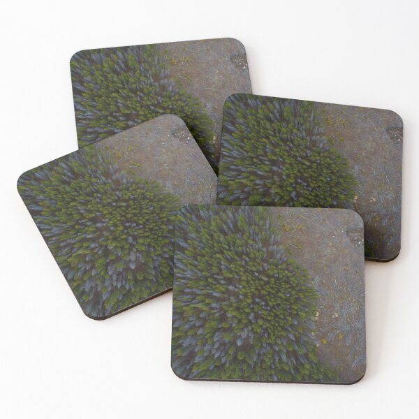 Item preview, Aerial View Trees Plants Feal Fall  designed and sold by DanielCarvalho2.