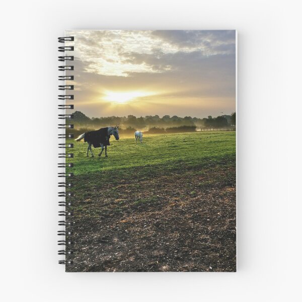 Aperçu de l'œuvre Beau lever de soleil - chevaux dans un champ créée et vendue par Artificialx.