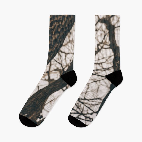 Item preview, Tree Plant Branch Nature Forest Sky  designed and sold by DanielCarvalho2.