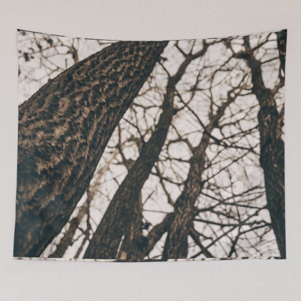 Item preview, Tree Plant Branch Nature Forest Sky  designed and sold by DanielCarvalho2.