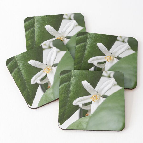 Item preview, The flower of mandarin orange 1 designed and sold by Jouko Lehto Photography.