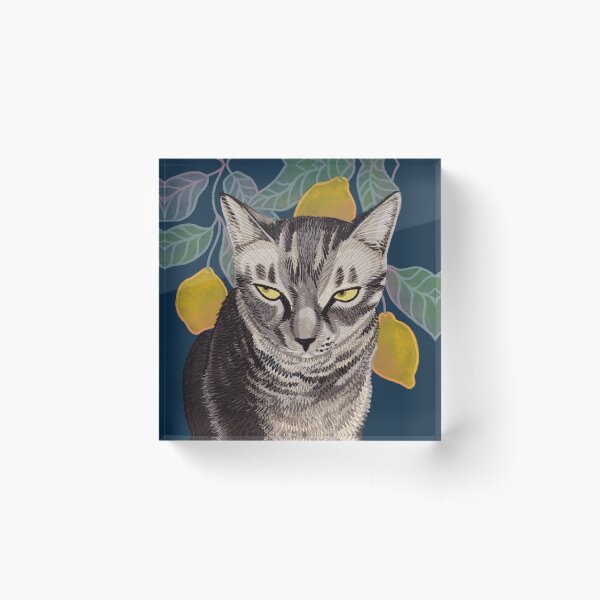 Sally Cat Acrylic Block