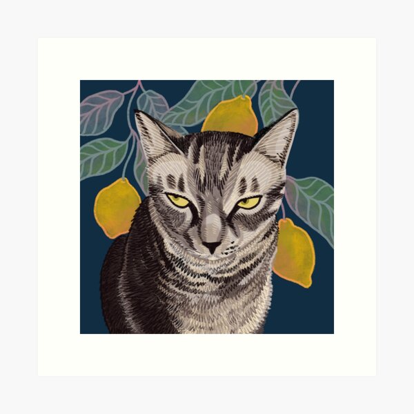 Sally Cat Art Print