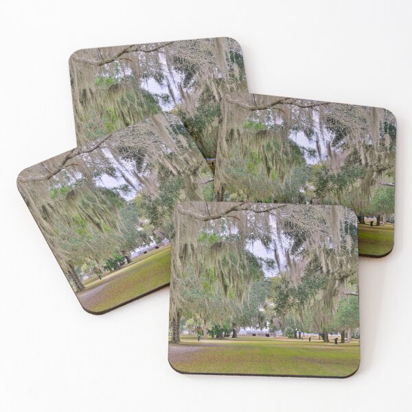 Item preview, Fort Fredericka National Monument Saint Simons Island Georgia designed and sold by LisaWootenPhoto.