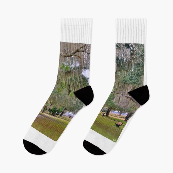 Item preview, Fort Fredericka National Monument Saint Simons Island Georgia designed and sold by LisaWootenPhoto.