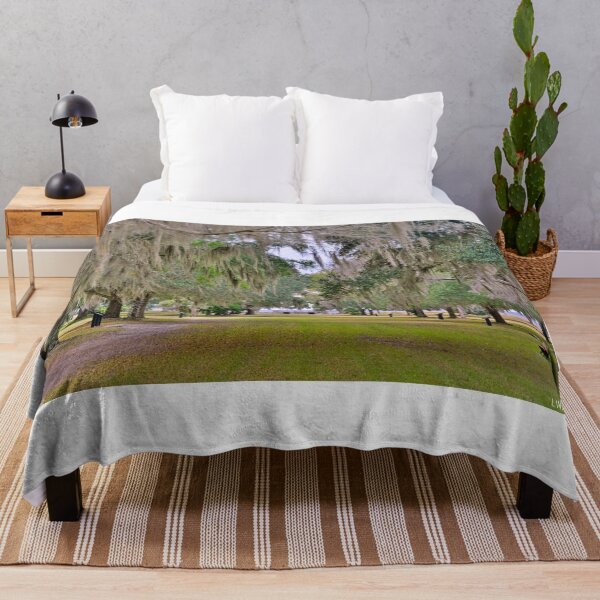 Item preview, Fort Fredericka National Monument Saint Simons Island Georgia designed and sold by LisaWootenPhoto.