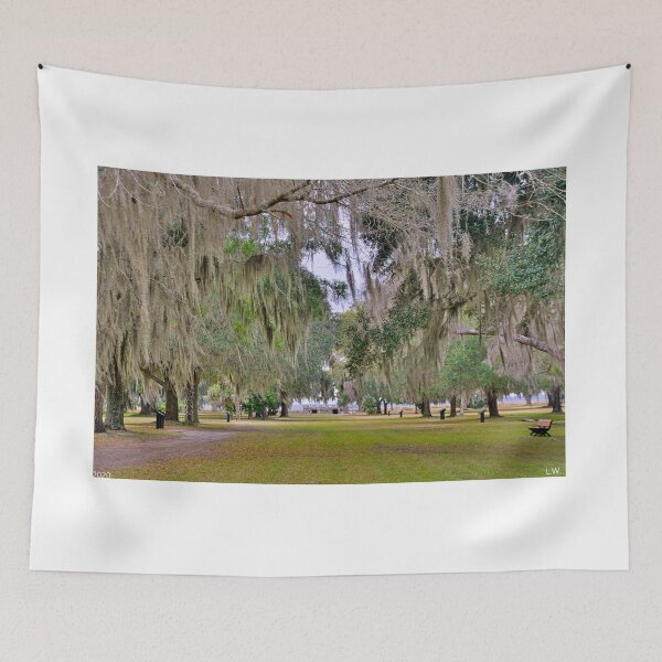 Item preview, Fort Fredericka National Monument Saint Simons Island Georgia designed and sold by LisaWootenPhoto.