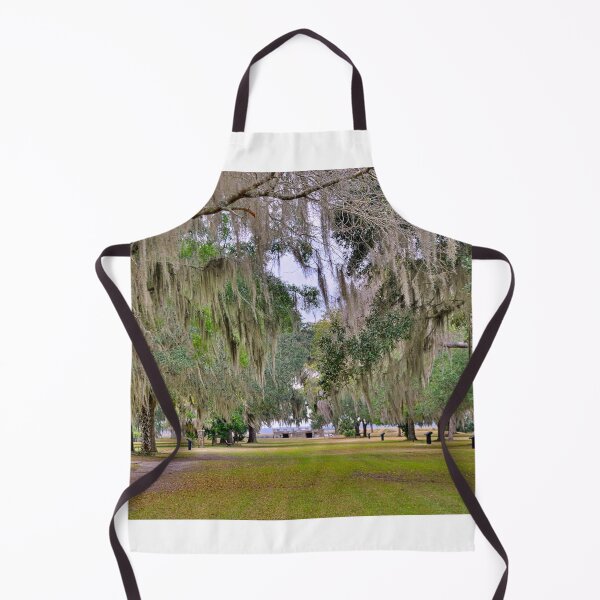 Item preview, Fort Fredericka National Monument Saint Simons Island Georgia designed and sold by LisaWootenPhoto.