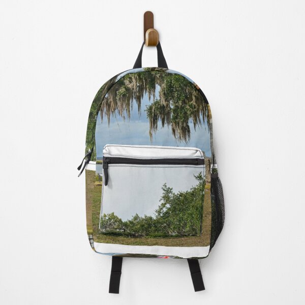 Item preview, Fort Fredericka Saint Simons Island Georgia designed and sold by LisaWootenPhoto.