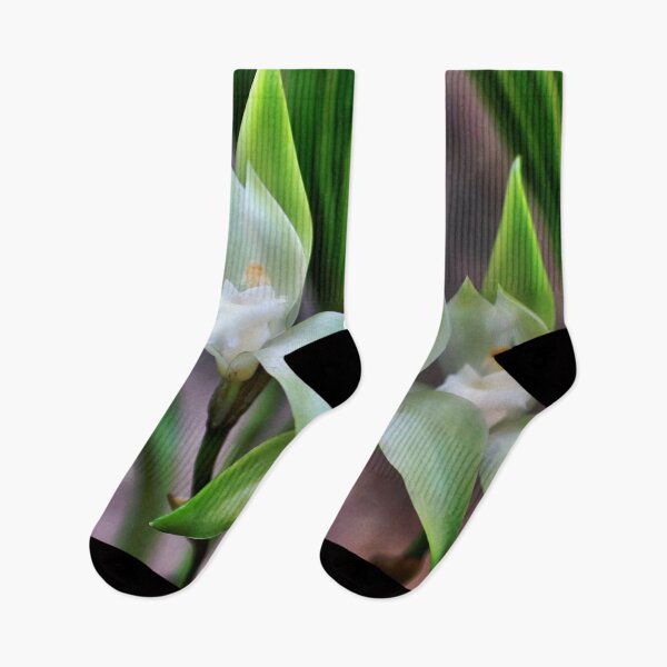 Item preview, White orchid designed and sold by bernd49.
