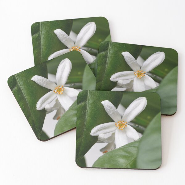 Item preview, The flower of mandarin orange 2 designed and sold by Jouko Lehto Photography.