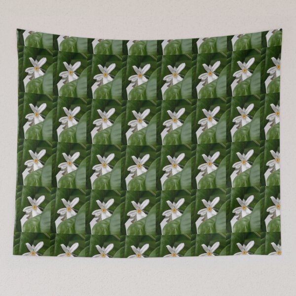 Item preview, The flower of mandarin orange 2 designed and sold by Jouko Lehto Photography.