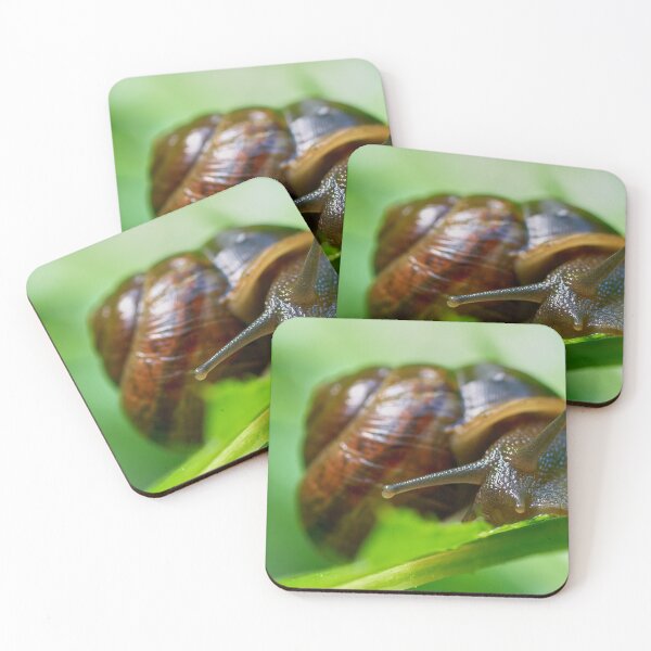 Item preview, Copse snail close designed and sold by Jouko Lehto Photography.