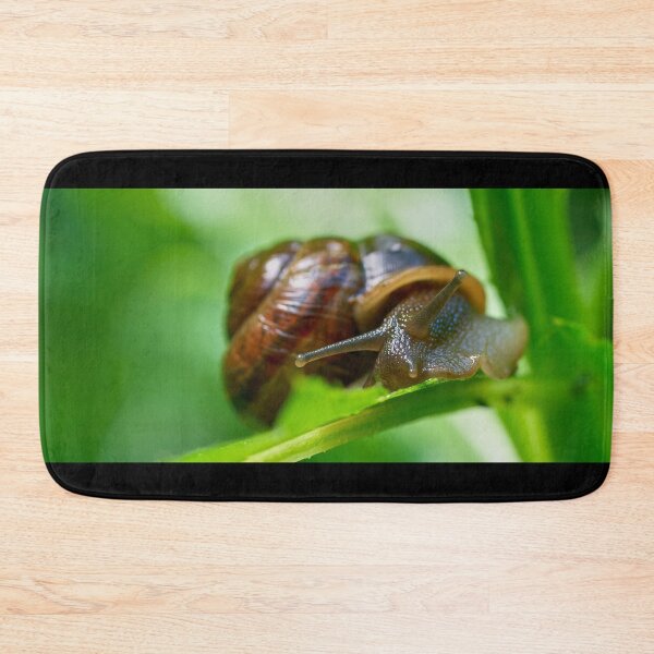 Item preview, Copse snail close designed and sold by Jouko Lehto Photography.