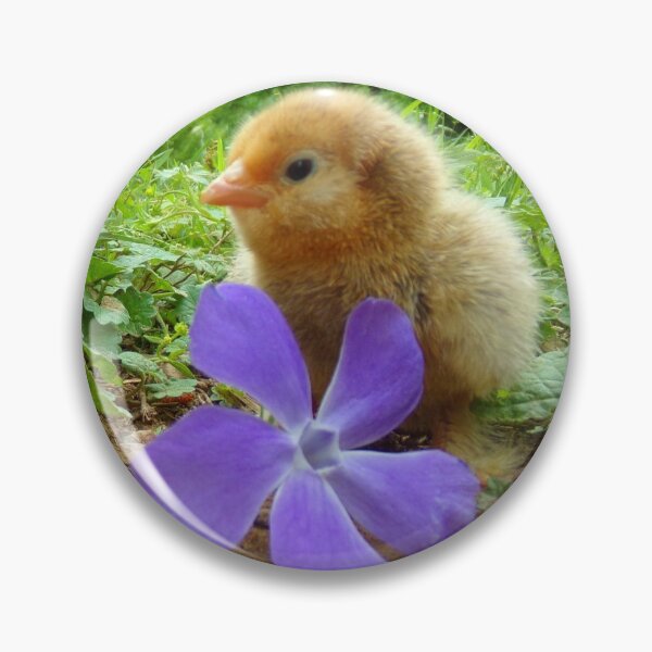 Item preview, Belgian D'Uccle Chicks with Flowers designed and sold by Ashley Gagnon.
