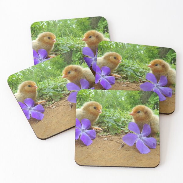 Item preview, Belgian D'Uccle Chicks with Flowers designed and sold by Ashley Gagnon.