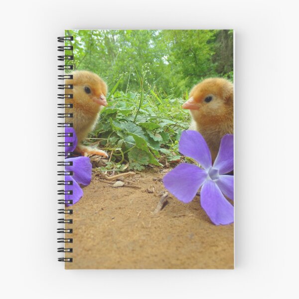 Item preview, Belgian D'Uccle Chicks with Flowers designed and sold by Ashley Gagnon.