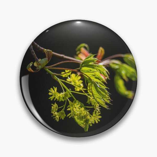Item preview, Plum blossom designed and sold by bernd49.