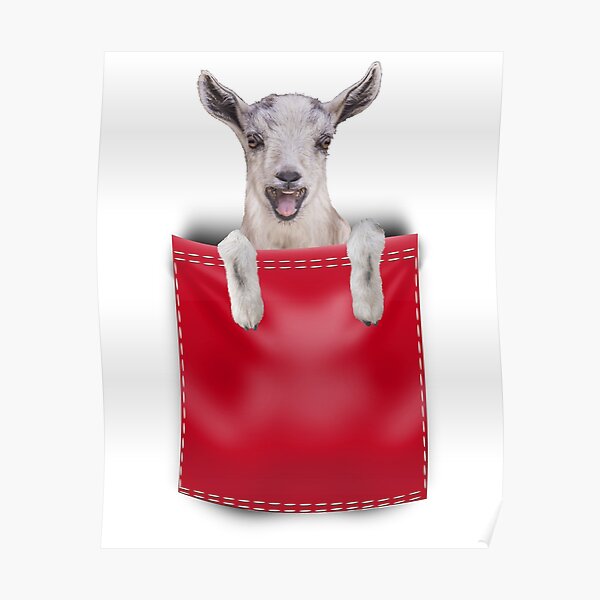 Goat in Your Pocket- Red Poster