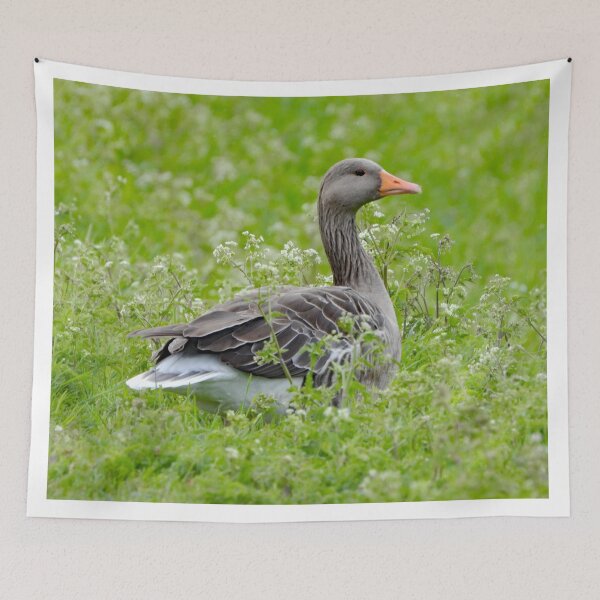 Item preview, A Beautiful Greylag Goose designed and sold by Karen Thomson.