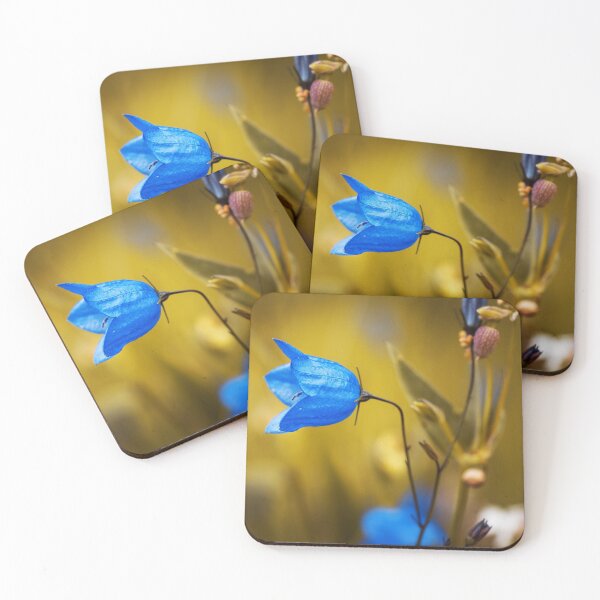 Item preview, Bellflower designed and sold by bernd49.