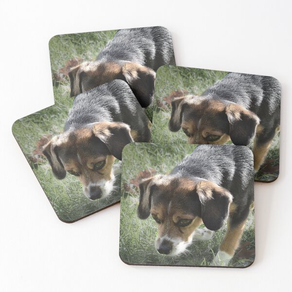 Item preview, Pretty Starbuck designed and sold by PatSeg Photos.
