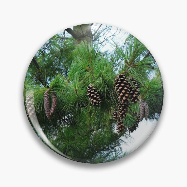 Artikelvorschau, Pine Cones at Dusk entworfen und verkauft von MidnightMelody.