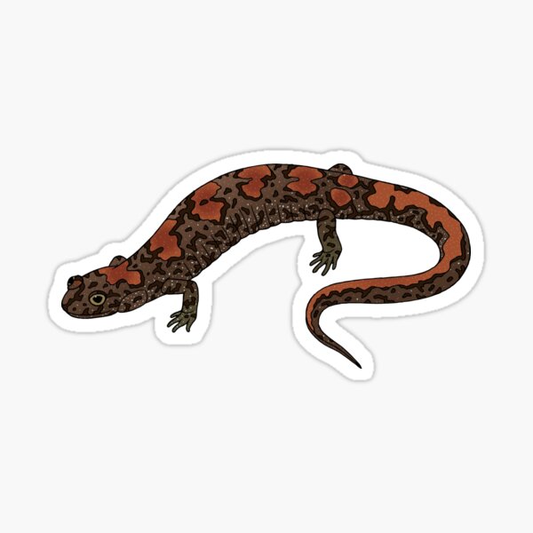 Item preview, Cumberland Dusky Salamander (Desmognathus abditus) designed and sold by Fran  Creates Art.