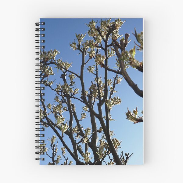 Item preview, Pear tree in bud designed and sold by paulboizot.
