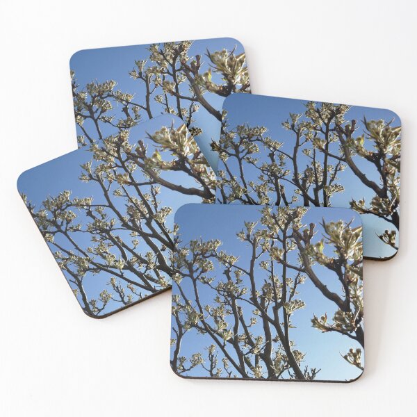 Item preview, Pear tree in bud designed and sold by paulboizot.