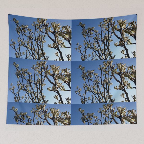 Item preview, Pear tree in bud designed and sold by paulboizot.