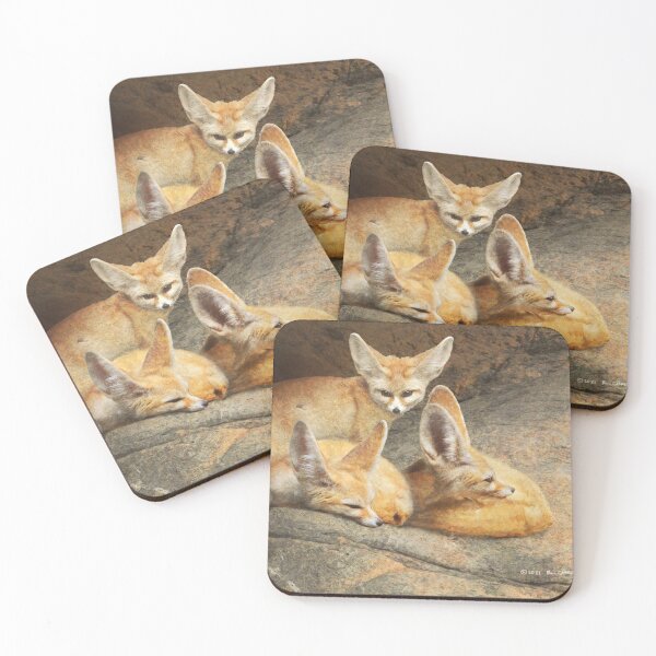 Item preview, fennec foxes resting on cool stone designed and sold by R Christopher  Vest.