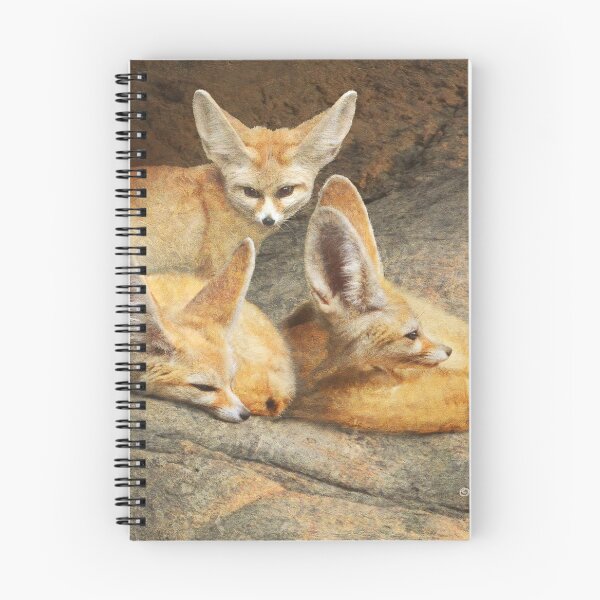 Item preview, fennec foxes resting on cool stone designed and sold by R Christopher  Vest.