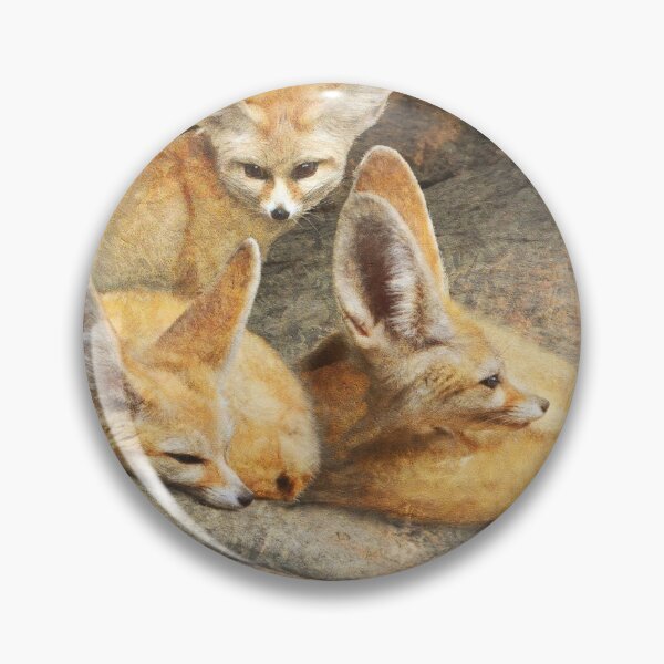 Item preview, fennec foxes resting on cool stone designed and sold by R Christopher  Vest.