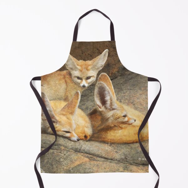 Item preview, fennec foxes resting on cool stone designed and sold by R Christopher Vest.