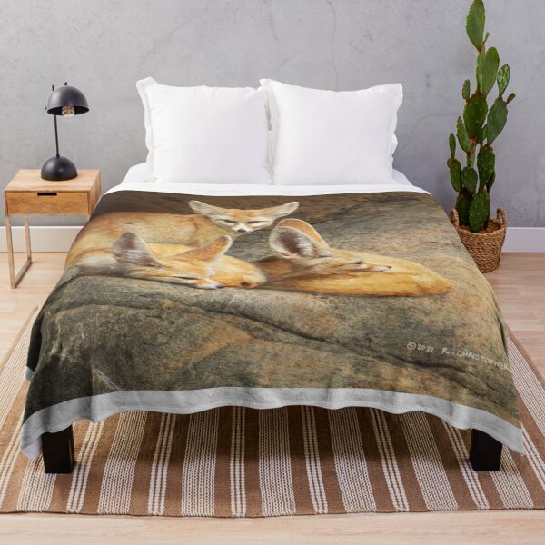 Item preview, fennec foxes resting on cool stone designed and sold by R Christopher Vest.
