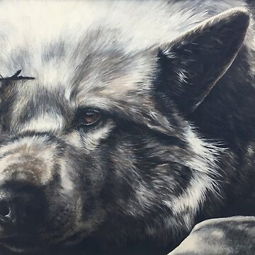 Artwork thumbnail, The Wolf by Anne Zoutsos