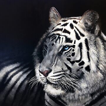 Artwork thumbnail, The Tiger by Anne Zoutsos