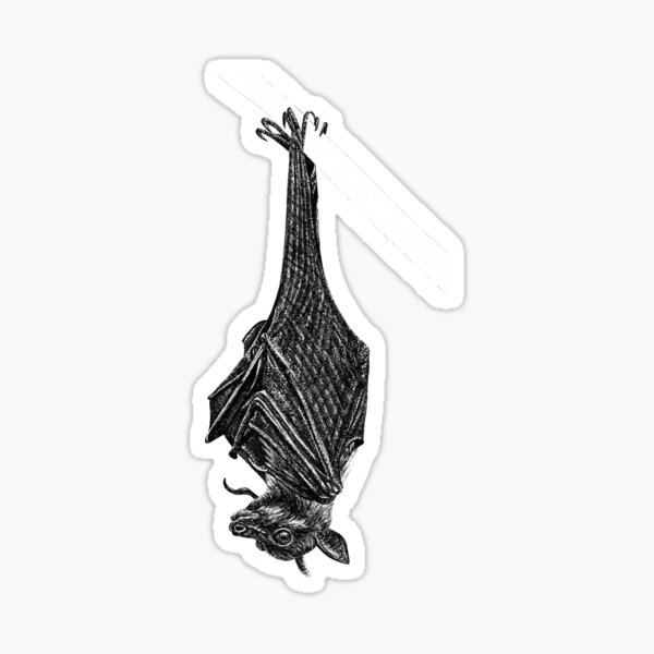 Item preview, Flying fox bat designed and sold by LorenDowding.