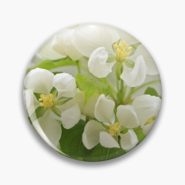 Item preview, White Crabapple Blossoms designed and sold by JulesXenDesign.